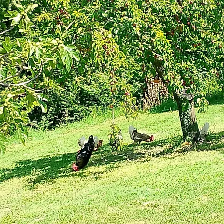 Дом отдыха Scappo In Umbria, L'antico Casale *