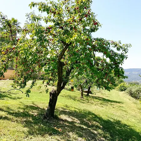 Scappo In Umbria, L'antico Casale Holiday home