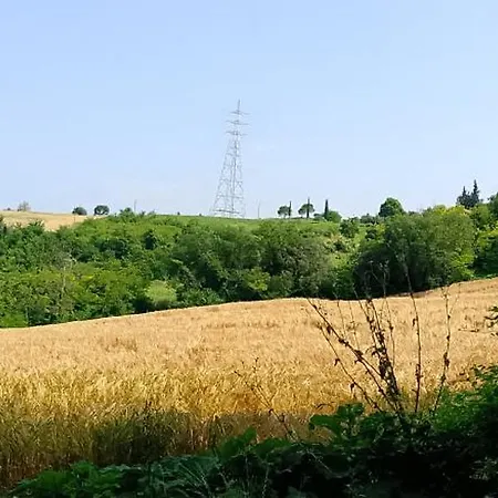 Scappo In Umbria, L'antico Casale Дом отдыха Нарни